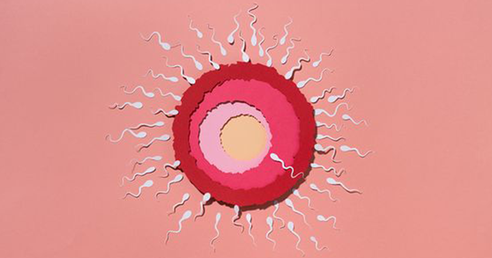 Does CBD Lube Affect Sperm Count? Surprising Answers Quanna