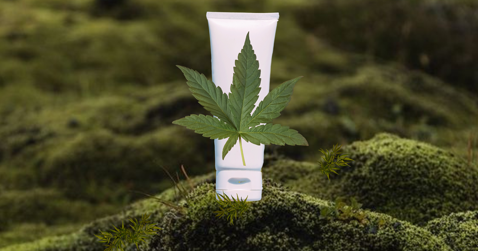 Hemp Lube vs CBD Lube | Experts Reveal Differences Quanna Hemp Lube vs CBD Lube | Experts Reveal Differences Quanna